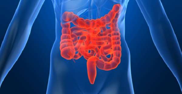 10 Best Foods for Crohns Disease
