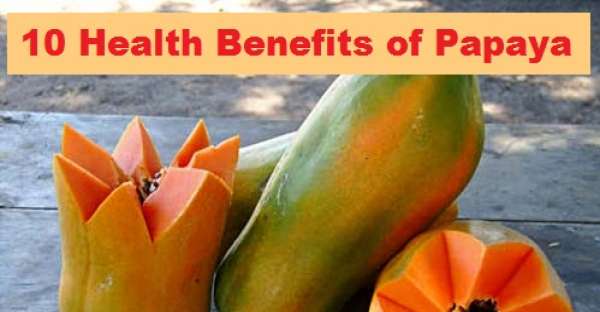 10 Health Benefits of Papaya
