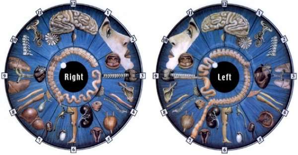 10 Things Doctors Can Tell About Your Health Just By Looking In Your Eyes