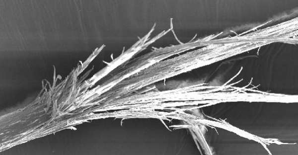 Can Split Ends Be Fixed Without Cutting?