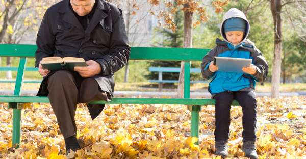 How Many Trees Were Cut Down To Make All The Books You Own