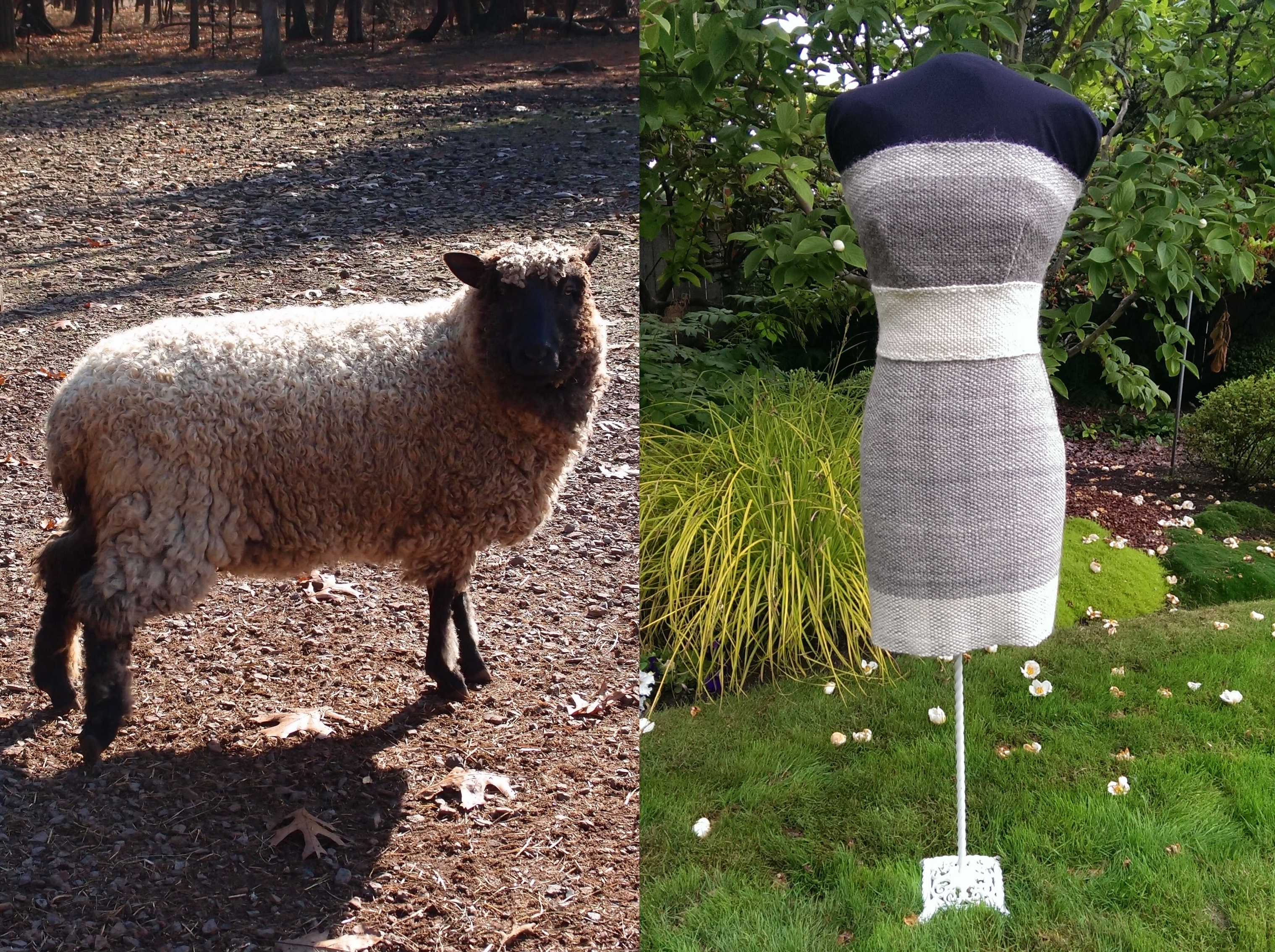 wool dress