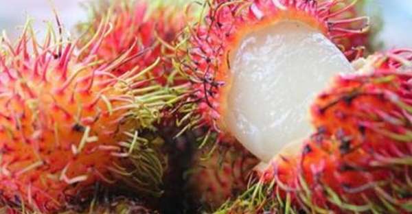 Surprising Benefits of Rambutan