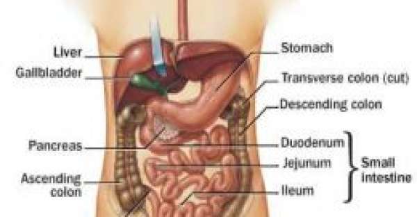 The Truth About Crohn's Disease: dispelling the myths