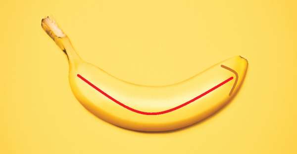 Bananas