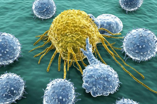 Scientists Discover New Molecules That Kill Cancer Cells and Protect Healthy Cells