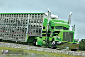 Peterbilt 389