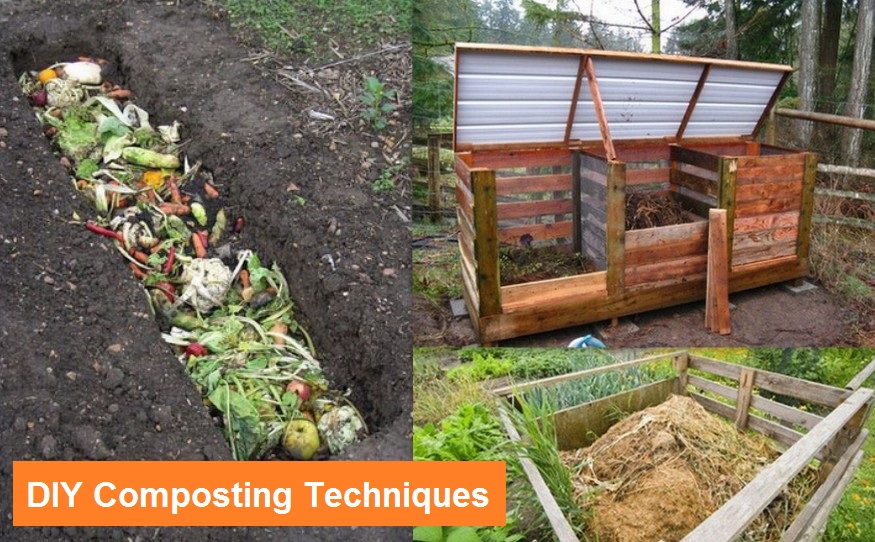 DIY Composting Techniques
