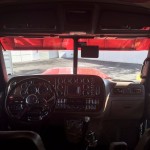 Bright Red Pete (2)