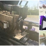 purple coe (2)