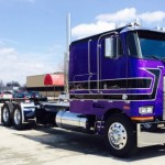 purple coe (8)