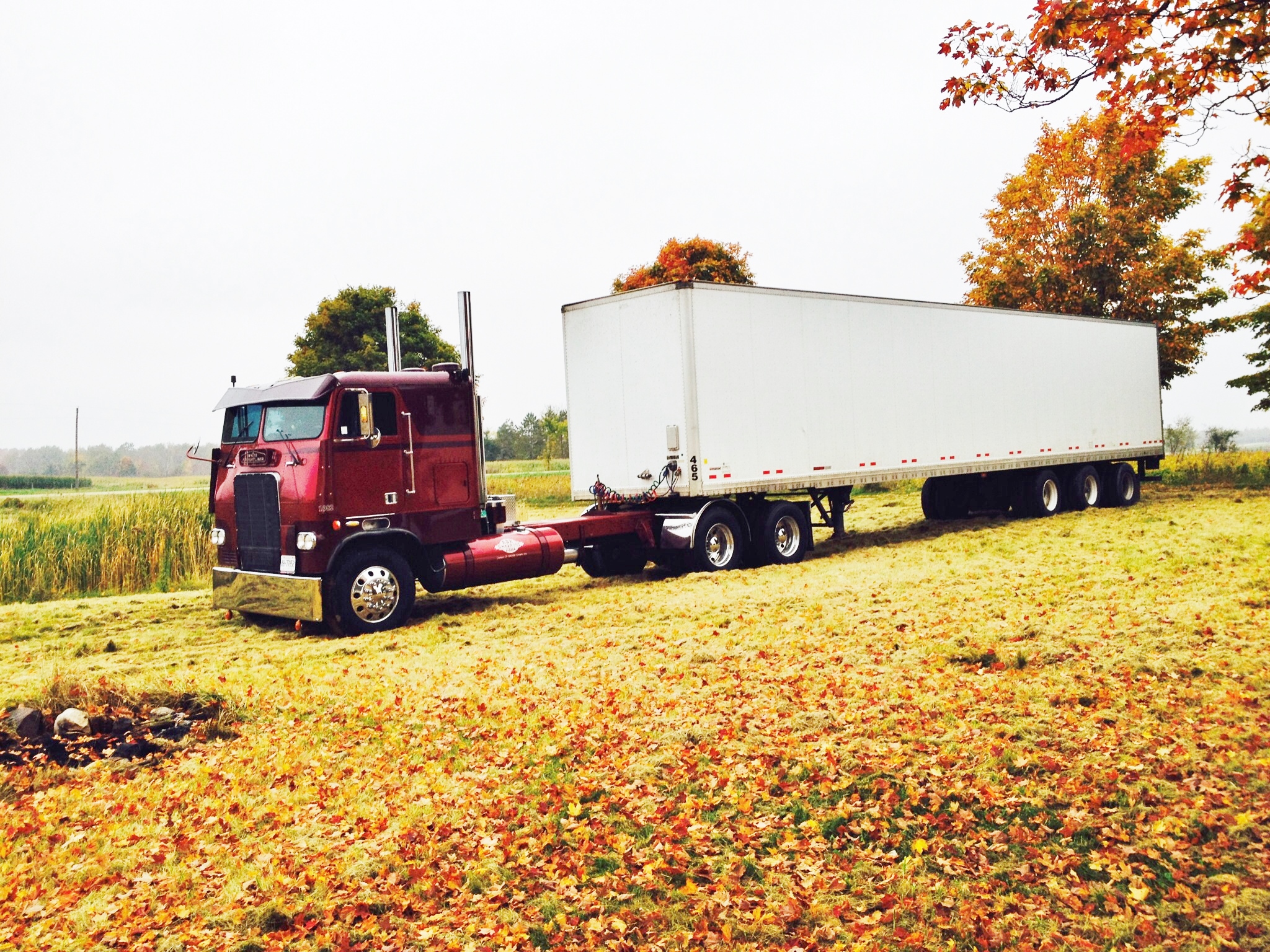 freightliner cabover